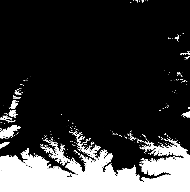 image info